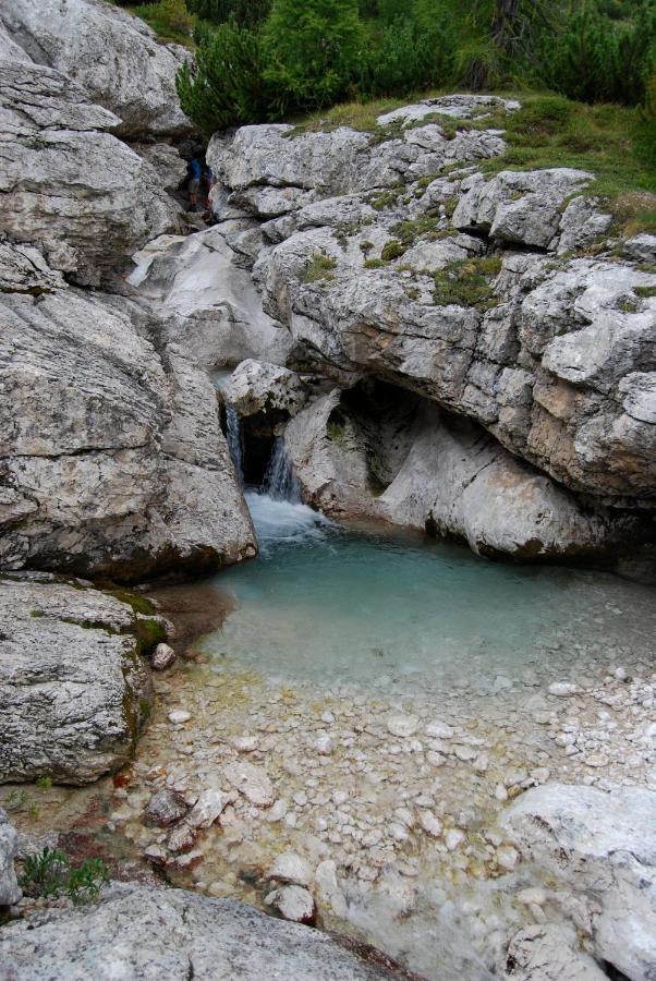 Appartamenti Chalet Orchidea Canazei Buitenkant foto