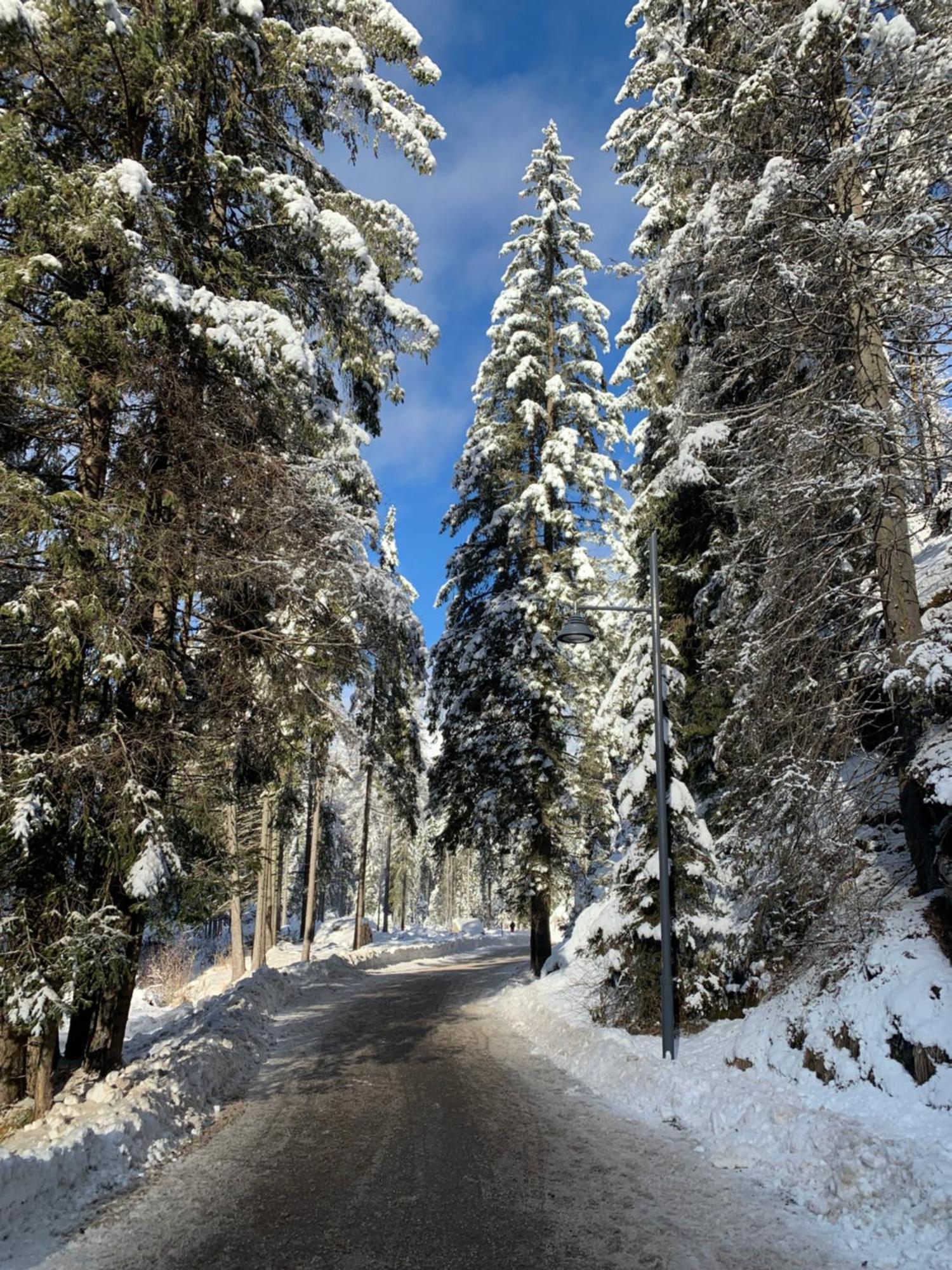 Appartamenti Chalet Orchidea Canazei Buitenkant foto