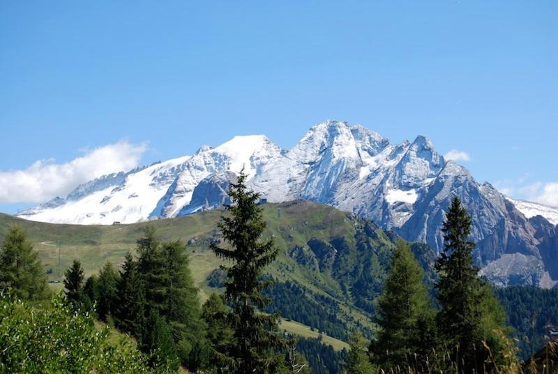 Appartamenti Chalet Orchidea Canazei Buitenkant foto