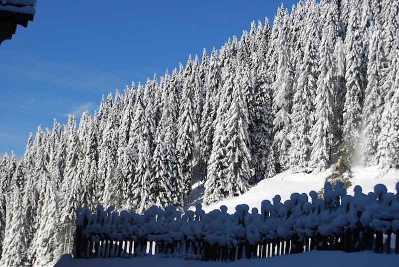 Appartamenti Chalet Orchidea Canazei Buitenkant foto