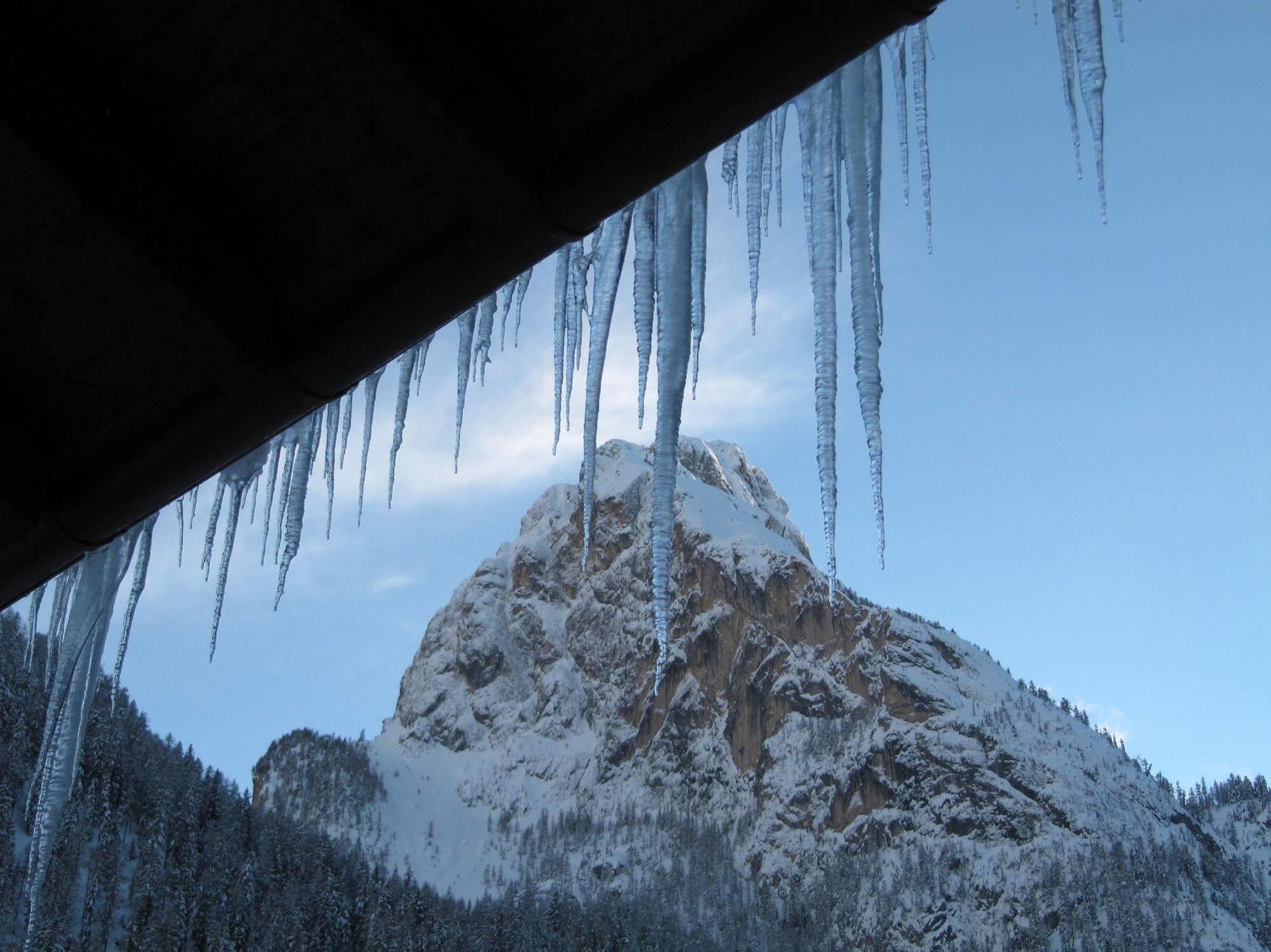 Appartamenti Chalet Orchidea Canazei Buitenkant foto